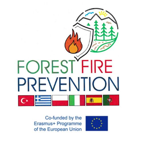 logo forest fire